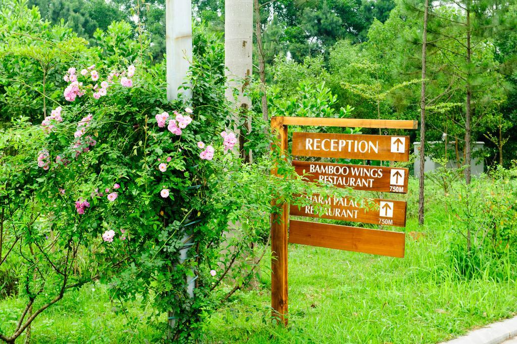 Flamingo Dai Lai Resort Ngoc Quang Екстер'єр фото